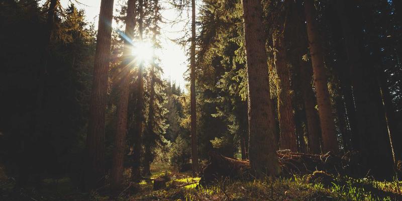 KIZ风格31：解码新生代时尚密码，打造专属穿搭方程式