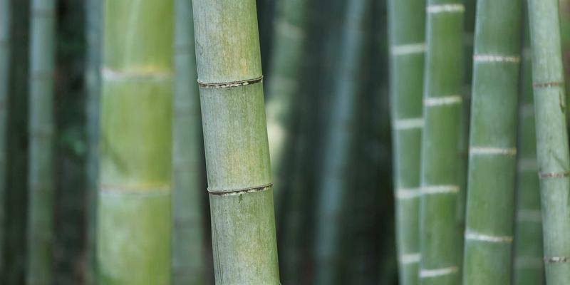 KIZ风格62：解锁清新时尚密码，打造专属形象设计