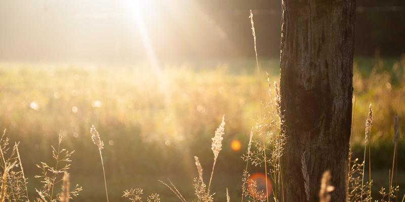 KIZ风格：以清新设计与橙色主题点亮空间的活力美学