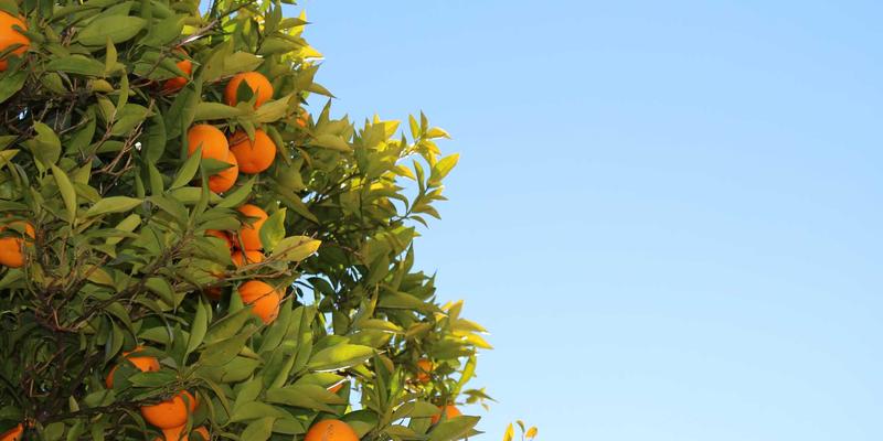 KIZ风格四季穿搭公式：形象设计师教你如何根据温度灵活调整层叠与面料