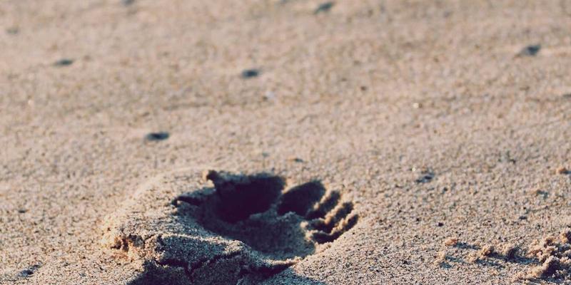 KIZ风格完全指南：从形象设计到日常穿搭的最佳实践