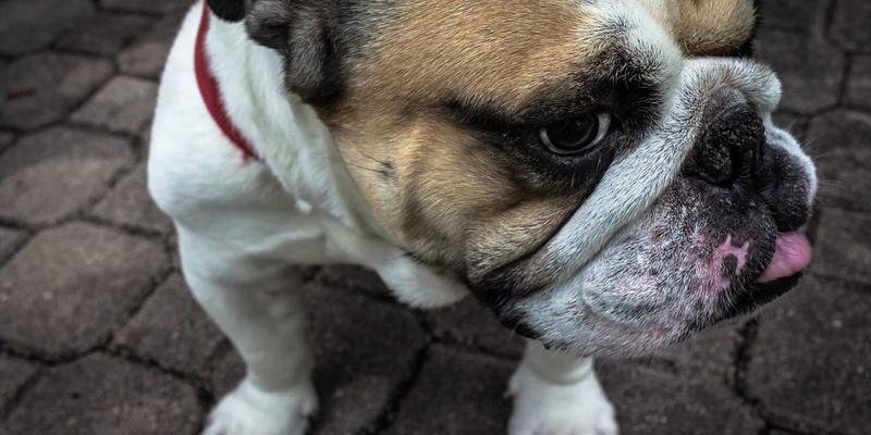 KIZ风格：定义清新时尚的穿搭哲学，解锁你的日常高级感