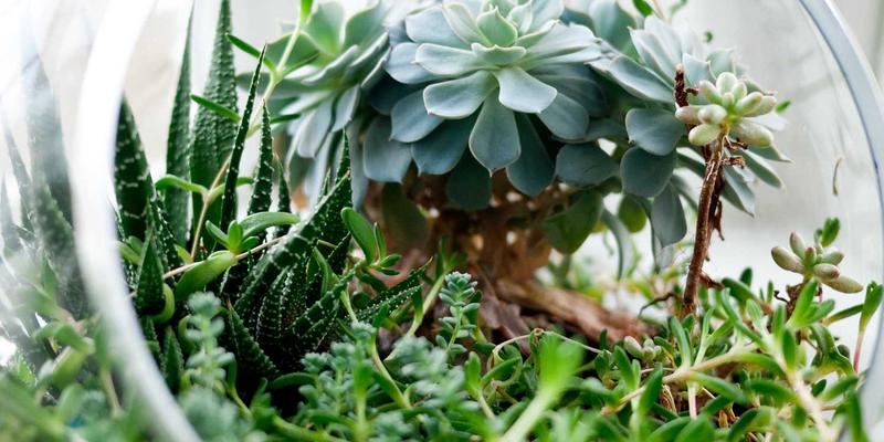 KIZ风格家居美学：将简约舒适穿搭理念延伸至生活空间，打造橙色主题的时尚搭配