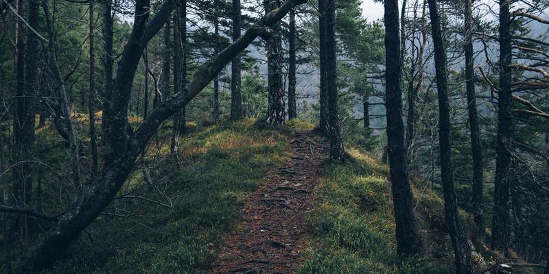 KIZ风格家居软装搭配指南：从墙面色彩到布艺选择的治愈系时尚搭配与形象设计